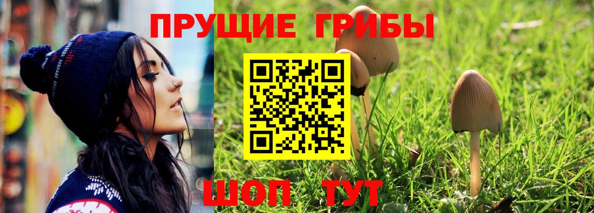 Псилоцибиновые грибы GOLDEN TEACHER Аксай
